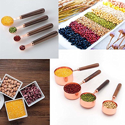image for JOYORUN Copper Stainless Steel Measuring Cups and Spoons Set of 8 Gorg
