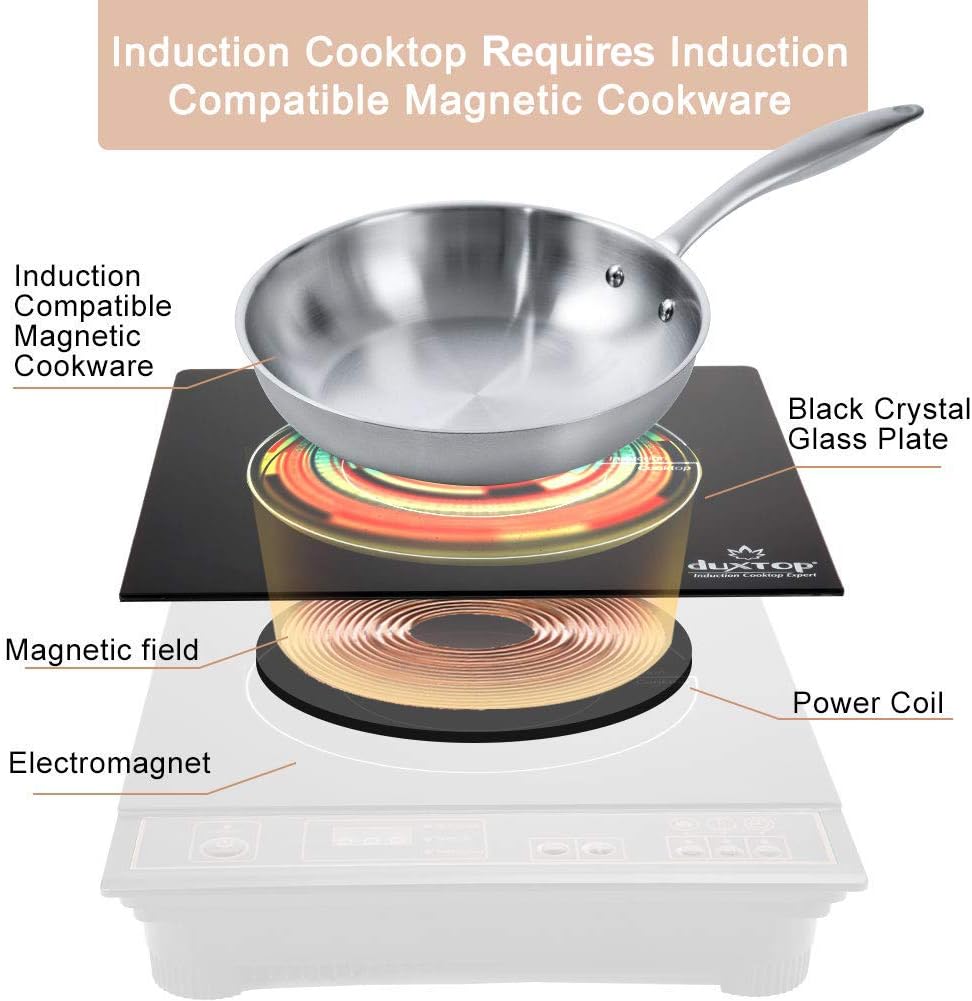 Duxtop 1800W Portable Induction Cooktop Countertop Burner, Gold 8100MC/BT-180G3: Electric Countertop Burners: Kitchen & Dining