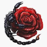 Scorpion Rose Bumper Sticker Vinyl Decal 5
