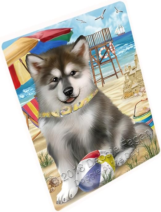 pet friendly blanket