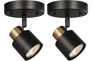 CRAFTRONOS 1 Light Track Lighting Kit,2 Packs Matt Black Brass Finish Adjustable Moden Flush Mount Ceiling Spotlight Wall Sconces for Kitchen,Hallway,Living Room Home Improvement