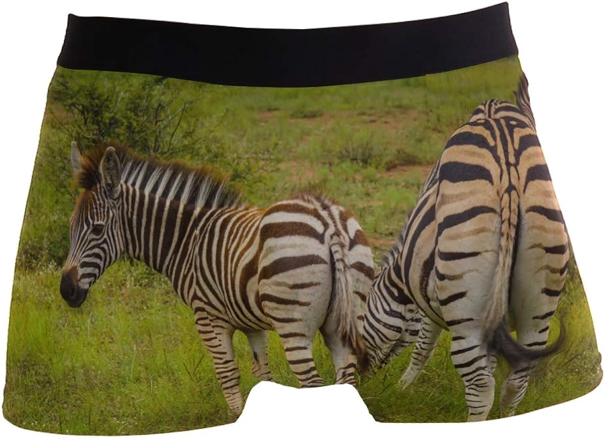Africa Wild Animal Zebra Boxer Briefs for Men Boy Youth Soft Comfort