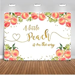Mocsicka Sweet Peach Backdrop for Girl Baby Shower