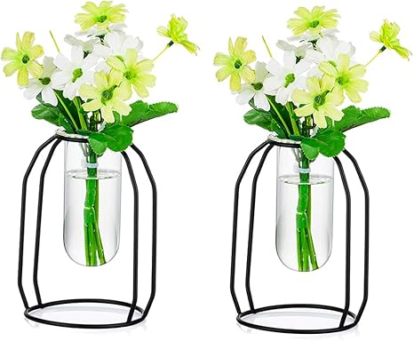 Amazon 一輪挿し花瓶 金属枠 試験管1本付き 吊り下げ式試験管花瓶 花瓶 ミニ花器 透明 フラワーベース 水栽培 水耕栽培花瓶 ガラス花瓶 テラリウム容器 工芸 壁掛け花瓶 玄関廊下装飾花瓶 ブラックsサイズ２点セット 花器 インテリアボウル オンライン通販