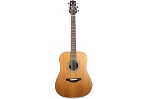 Takamine GD20-NS Dreadnought Acoustic Guitar, Natural