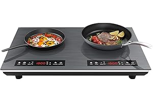 VBGK Double Induction Cooktop, 4000W Portable Induction Cooktop with 2 Burner, 9 Levels Settings,110V Induction Burner with L