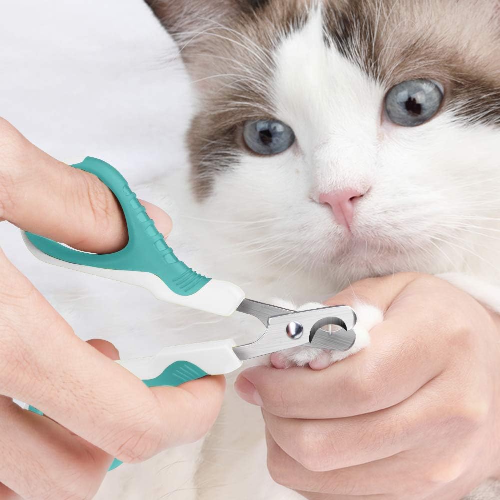Tarnel Ciseaux A Ongles Professionnels Pour Chat Lapins Et Petits Animaux Tondeuses A Griffes De Chat Ciseaux Acier Inoxydable Courbe Ciseaux Coupe Ongles Chat Amazon Fr Animalerie