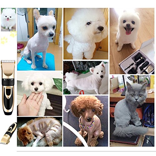 BigTron Professional Rechargeable Electrical Pet Grooming Clipper Kit for Dog and Cat Hair with Trimmer and Shaver