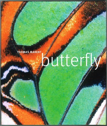 Amazon.com: Butterflies of the World: 9781421427171: Hoskins