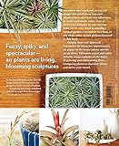 Image de Air Plants: The Curious World of Tillandsias