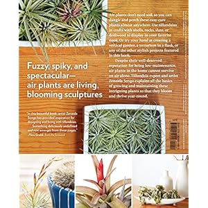 Air Plants: The Curious World of Tillandsias