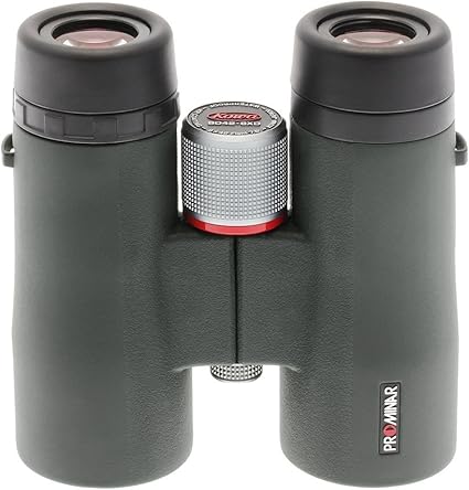 kowa bd 8x25