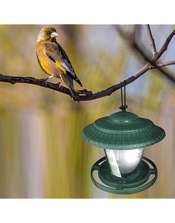 Garden Birds Ambassador Wild Bird Transparent Perspex Window Bird