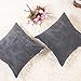 Home Brilliant Throw Pillows 18x18 Soft Decorative Striped Corduroy Velvet Square Spring Throw Pillow Cover for Couch Sofa, 45 x 45 cm, Dark Grey