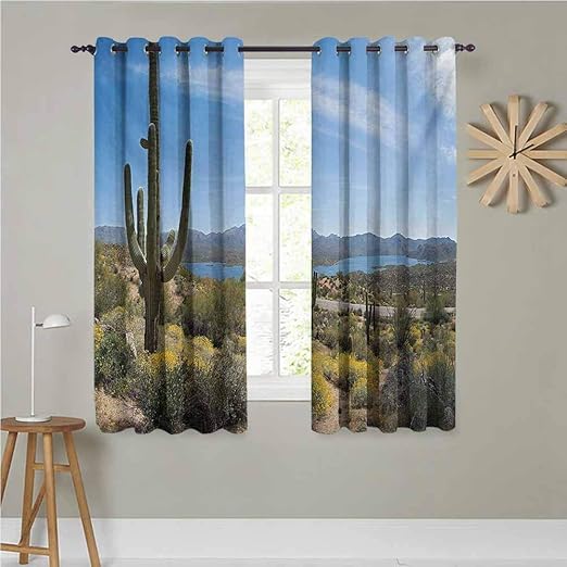 Amazon Com Saguaro Window Curtain Big Cactus On The Valley Over