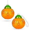 Aspectek Wasp Trap Outdoor or Indoor Hanging Helps You to Rescue from Insects, Yellow Jackets, Hornets, Honey Bees, Flies, Gnat, etc, 2 Pack