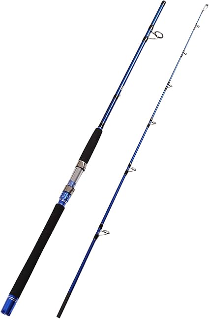 Fiblink 2-Piece Saltwater Spinning 