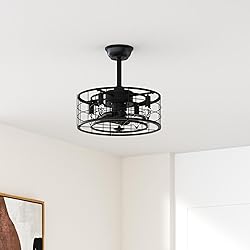 SYXLCYGJ Caged Ceiling Fans with Lights Remote