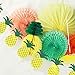 SUNBEAUTY Pineapple Party Decoration Set Summer Luau Beach Birthday Wedding Photo Backdrop Tropical Party Supplies 9 Pcs (Style 1)