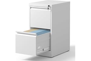 BIZOEIRON 2 Drawer File Cabinet with Lock, Metal Vertical Filing Cabinets for Home Office, Steel Storage Cabinet for Hanging Legal/Letter Size Files, Assembly Required (White)