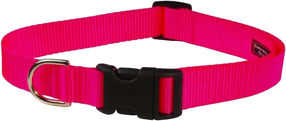 widespread panic dog collar