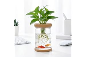 Propagation Station - Desktop Plant Hydroponic Vases, Water Plant Jars, Gardening Gifts for Women Mom Plant Lovers