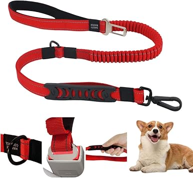 dog leads amazon