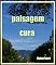 Livro paisagem cura