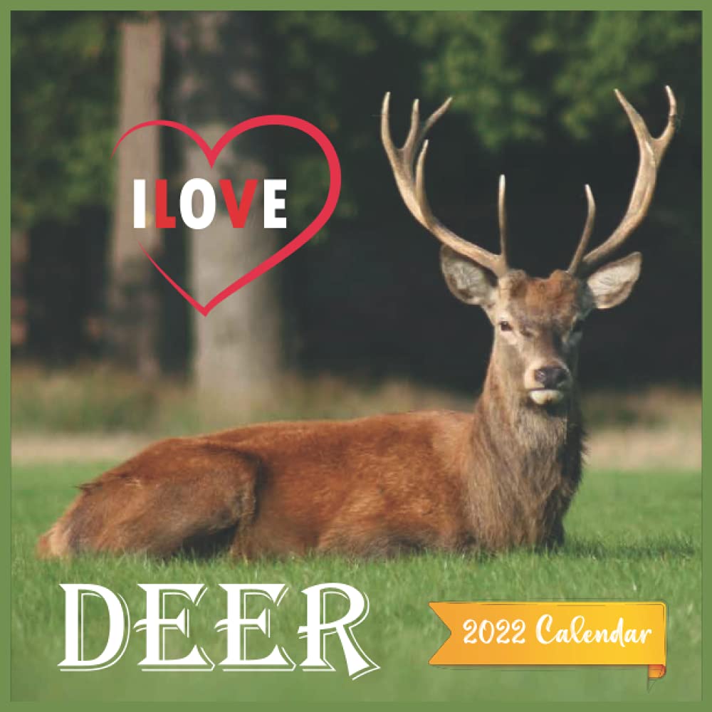 Ilove Deer Calendar 2022: Mini Calendar Deer ,12 Month Calendar ,Square 2022  Calendar ,Reindeer Calendar 2022: Amazon.co.uk: Pub Print, Calendar 2022:  9798482633540: Books