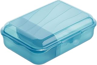 Rotho Fun Vesperdose 0,9l mit herausnehmbarer Trennwand, Kunststoff (PP) BPA-frei, blau, S/0,9l (17,7 x 12,9 x 6,0 cm)