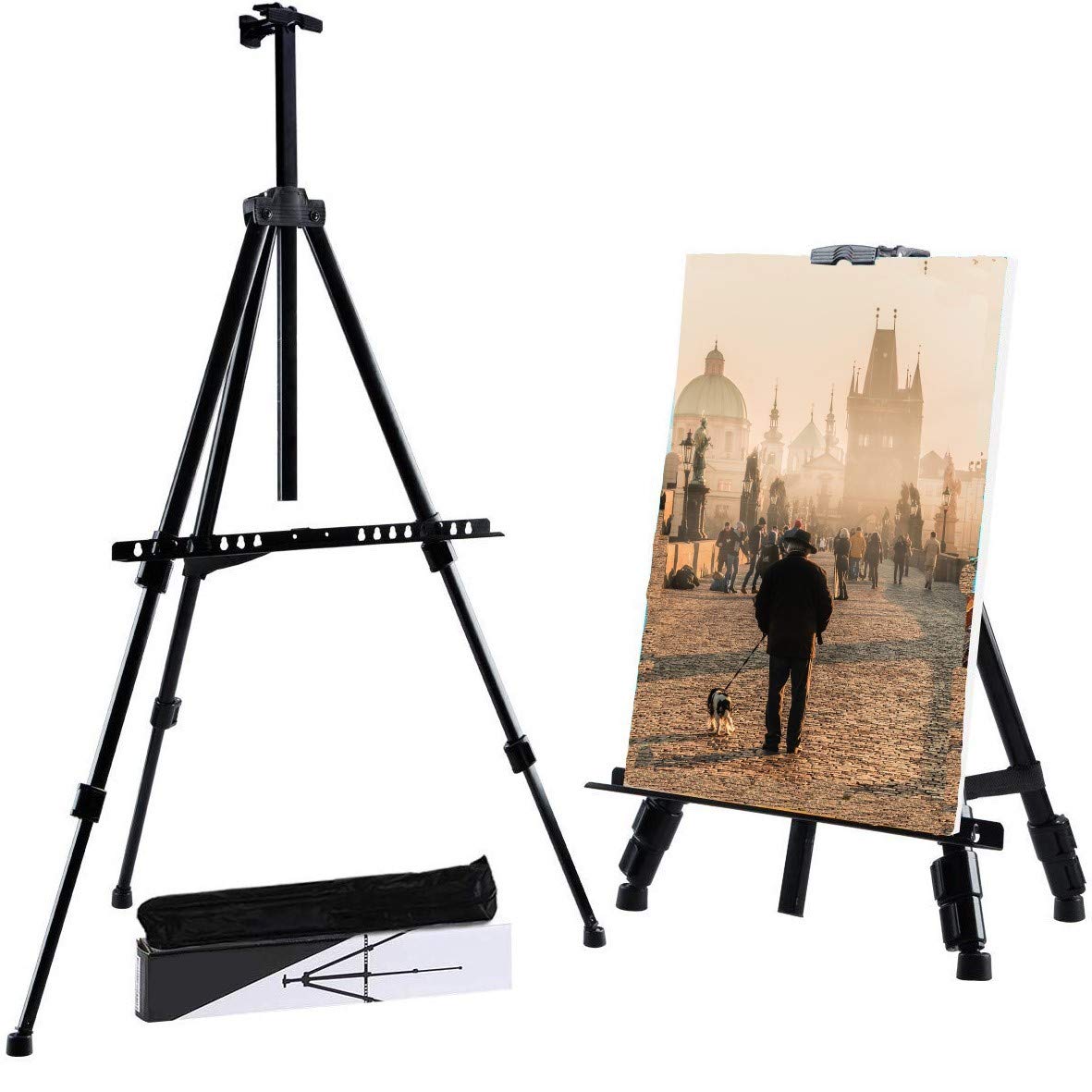 Buy AlphaArt Artists Art Display Easel Stand, Folding Adults Kids