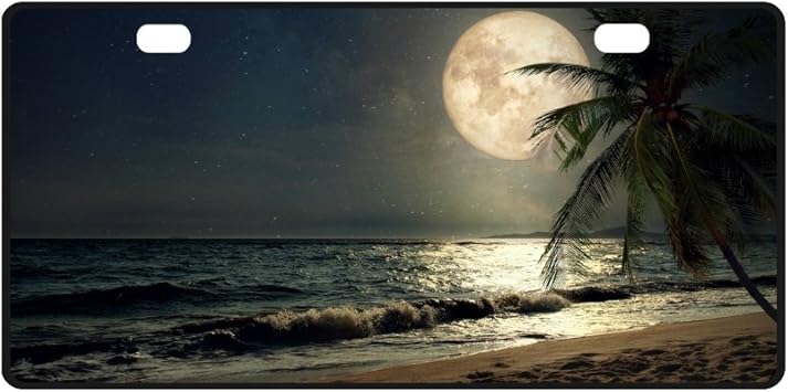Amazon Com Interestprint Tropical Beach Palm Tree With Full Moon Starry Night Metal License Plate For Car Car s Cover For Woman Man 11 8 X 6 1 Automotive