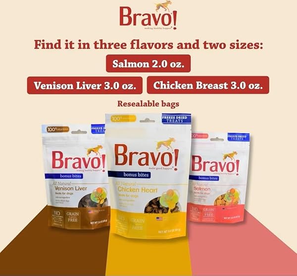 BRAVO! BONUS BITES SINGLE INGREDIENT FREEZE DRIED RAW DOG TREATS, SALMON, 2 OUNCE, HIGH PROTEIN, GRAIN FREE, GLUTEN FREE