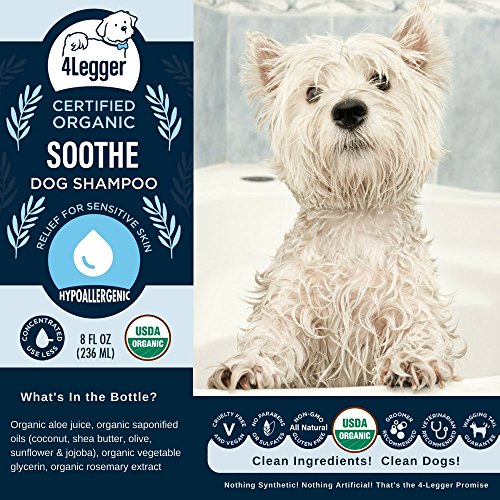 4Legger Aloe Dog Shampoo All Natural and USDA Certified Organic Dog