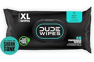 DUDE Wipes - Flushable Wipes - 1 Pack, 48 Count - Mint Chill - Vitamin-E, Aloe, Eucalyptus & Tea Tree Oils - Septic and Sewer Safe