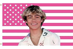 WENWELL Malachi American Flag Tapestry, Pink Daniel USA Design, 3x5 Feet, Polyester with Brass Grommets, Barton Wall Decor for Bedroom