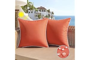 All Smiles Outdoor Waterproof Throw Pillow Covers 18x18 Set of 2 Burnt Orange Decorative Patio Tent Bed Sofa Living Room Furniture Sunbrella Cushion Cases Outside Decor for Couch Garden Bench Porch