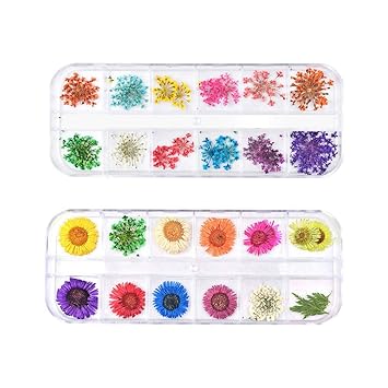 Buy Supvox 48 Pcs Nail Dried Flowers 3d Dry Flowers Nail Art