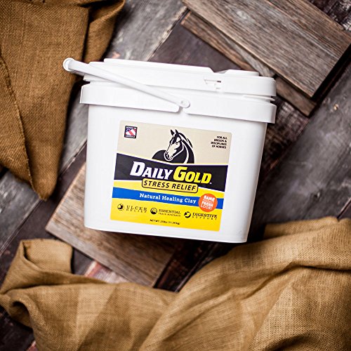 Redmond Daily Gold Stress Relief, Natural Healing Clay for Gastric