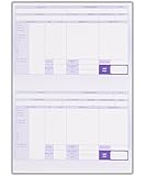 Compatible A4 Payslip for Iris Payemaster Payroll 500 sheets 1000 payslips Code RF01AS