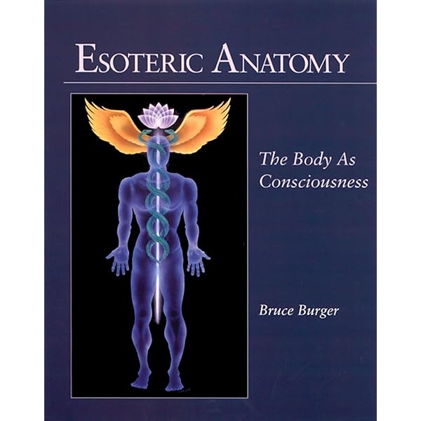 The Human Body: An Introduction to Structure and Function