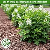 Laeto 60L Bark Chippings Bulk Wood Chip Mulch 60L 75L 100L Bags view 5