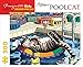 Kliban/Pool Cat 300 Piece Puzzle Jigsaw Puzzle 9 x 11in