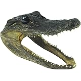 61nLr4RHJvL. AC UL160 SR160,160 Lasirèn: The Mystical Spirit of the Sea and Healing