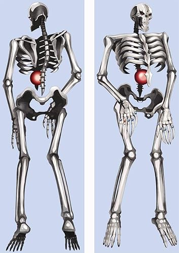 Amazon モモンガ 抱き枕カバー 枕カバー 18禁 アニメ セクシー 無地 ピーチスキン 50 160cm 等身大 18禁枕 萌え工房c アニメ 萌えグッズ 通販
