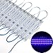 ChiChinLighting 20 Piece Pack – Blue 12 Volt LED Module - SMD LED Chip – Blue LED Strips - Super Bright – IP65 Waterproof