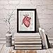 Anatomical Human Heart in Red- Printed on Upcycled Vintage Dictionary Paper - 8