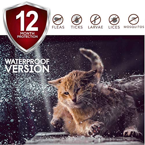 ONMOG Cats Flea and Tick Collar - 12-Month Flea Treatment Cat Collar - Hypoallergenic, Adjustable & Waterproof Tick Prevention - Natural Essential Oil Extracts [Upgrade Version] - Thumbnail 4