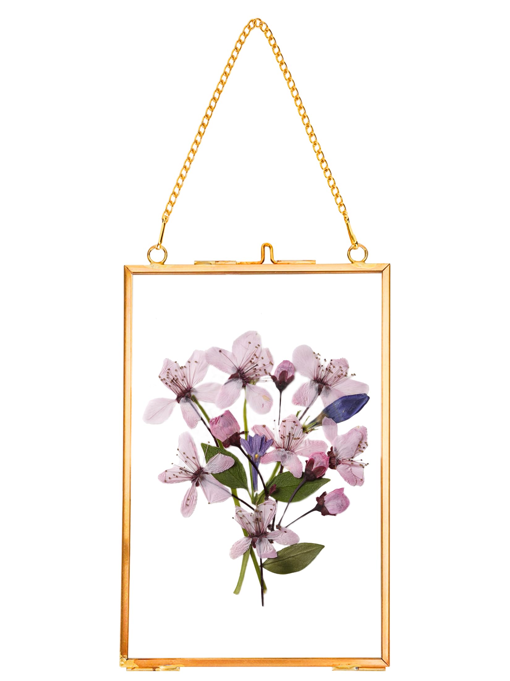 Photo 1 of REDHUGO Hanging Pressed Flower Frames, Double Glass Floating Picture Frame Handmade, Glass Frame for Pressed Flowers, Vintage Brass Picture Frame for Artwork Wall Display Mount, Gold, 4x6 Inches