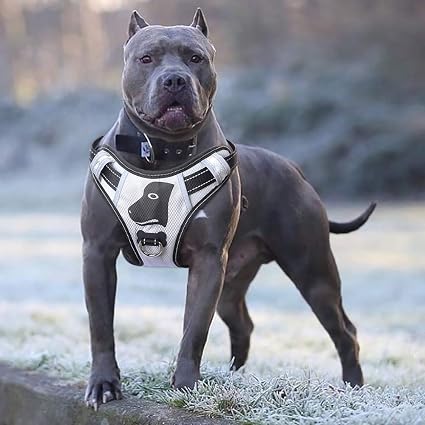 Babyltrl Hundegeschirr Fur Grosse Hunde Kein Ziehen Verstellbar